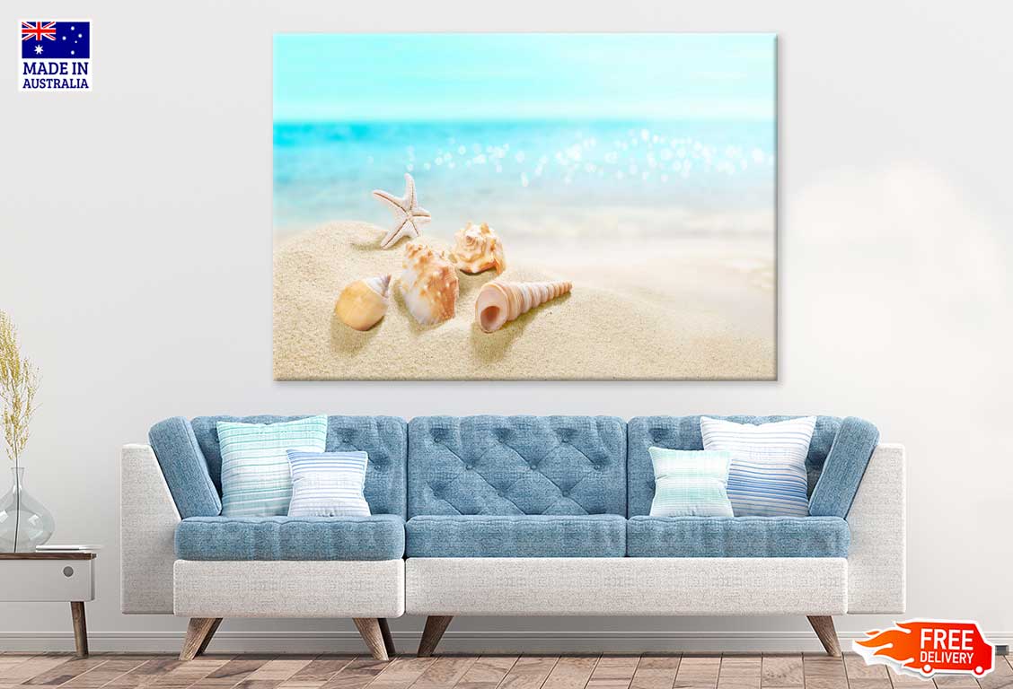 Sea Shells on Beach Sand Closeup View Photograph Print 100% Australian Made