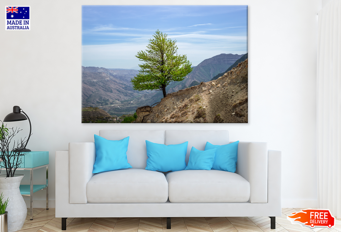 Tree On Rock Mountain & Sky View Photograph Print 100% Australian Made