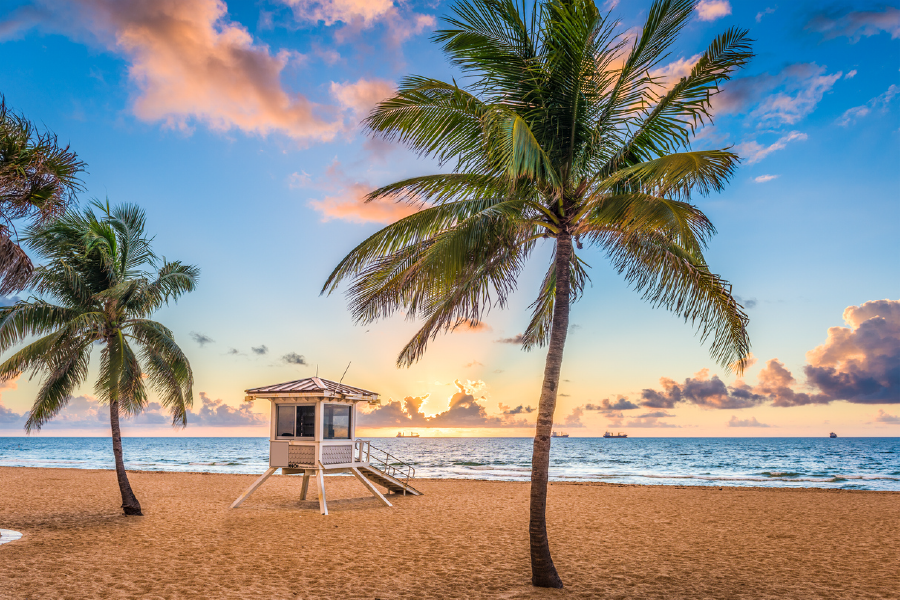 Palm Trees & Beach Huts On Sea View Print 100% Australian Made