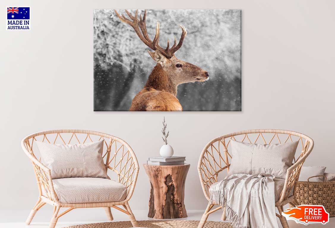 Deer in Winter Scenery Photograph Print 100% Australian Made