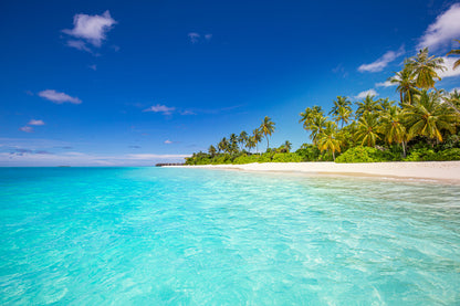 Tropical Island Paradise Beach Photograph Home Decor Premium Quality Poster Print Choose Your Sizes
