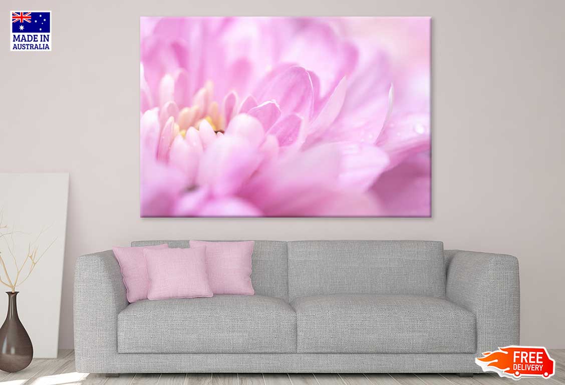 Pink Chrysanthemum Petals View Photograph Print 100% Australian Made