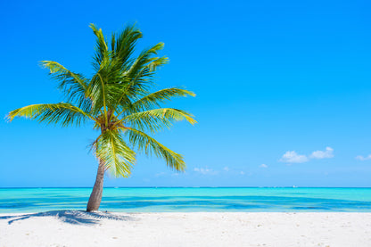 Bella Home Tropical Beach With a Palm Tree Print Canvas Ready to hang