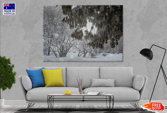 Trees Covered-with Snow Park View Photograph Print 100% Australian Made