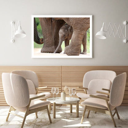 Elephant Portrait Photograph Home Decor Premium Quality Poster Print Choose Your Sizes