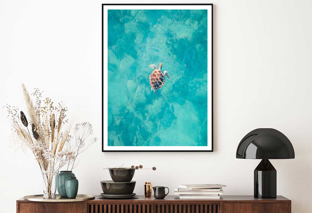 Hawksbill Turtle on Sea Aerial View Photograph Home Decor Premium Quality Poster Print Choose Your Sizes