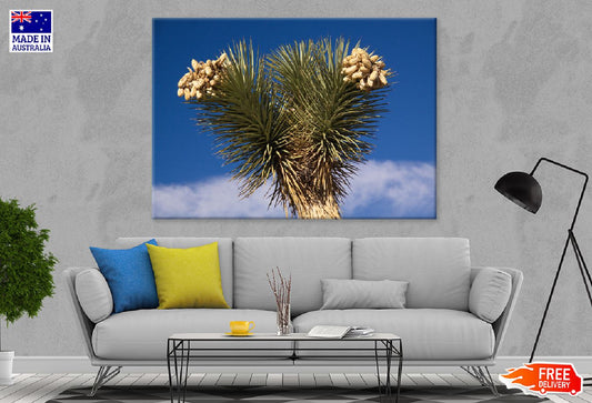 Joshua Tree with Blue Sky View Photograph Print 100% Australian Made