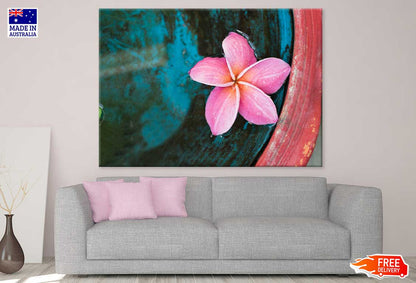 Pink Plumeria Flower on Water View Photograph Print 100% Australian Made
