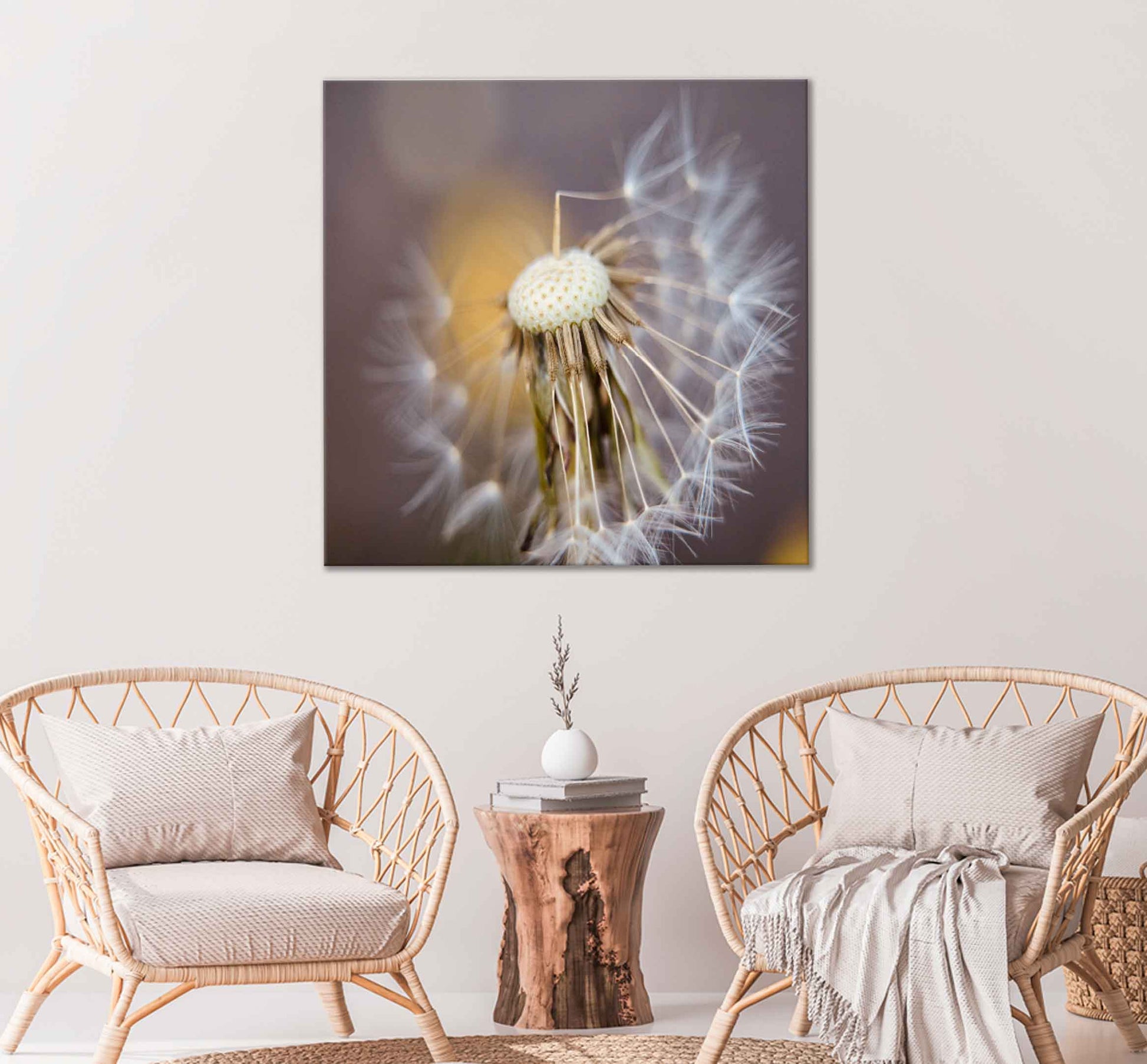 Square Canvas Dandelion Closeup View Photograph High Quality Print 100% Australian Made