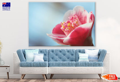 Camellia Flower Closeup Photograph Print 100% Australian Made