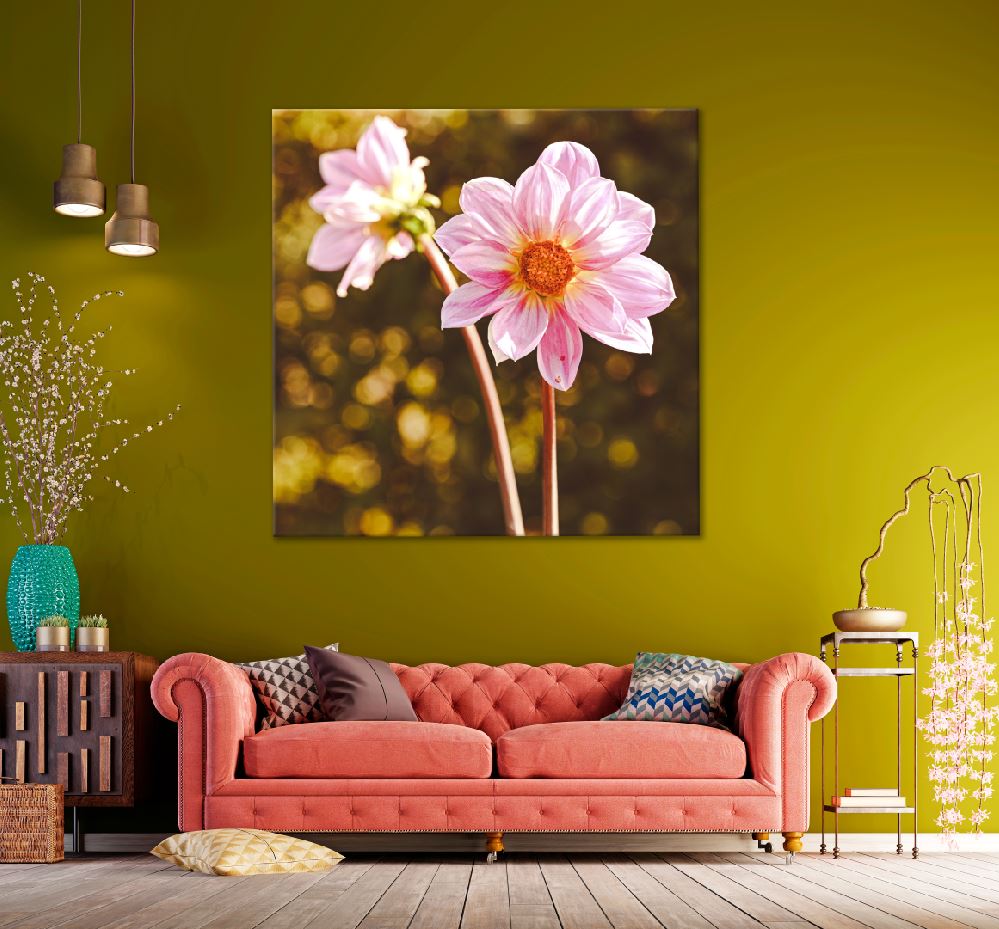 Square Canvas Pink Dahlia View Photograph High Quality Print 100% Australian Made