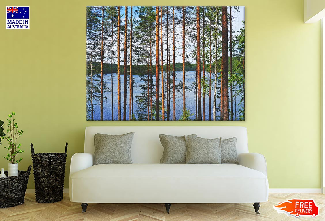 Tree Forest in Lake Photograph Print 100% Australian Made