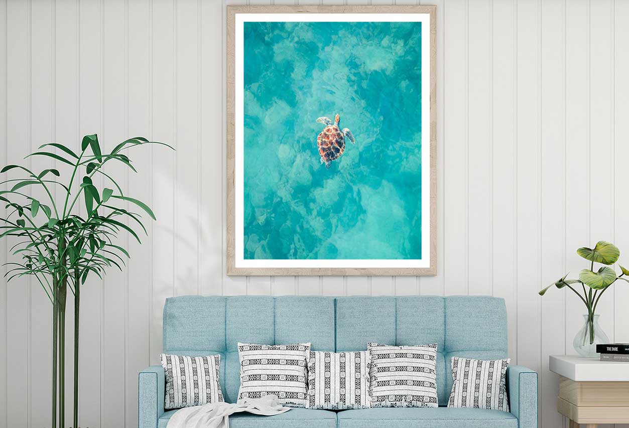Hawksbill Turtle on Sea Aerial View Photograph Home Decor Premium Quality Poster Print Choose Your Sizes