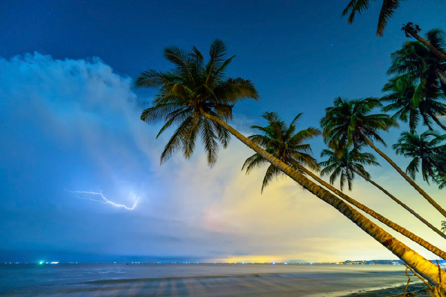 Palm Trees near Sea & Lighting on Sky View Photograph Print 100% Australian Made