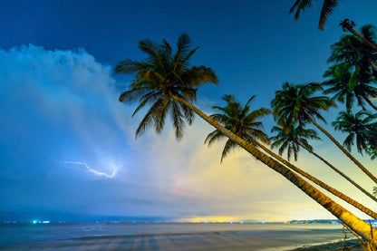 Palm Trees near Sea & Lighting on Sky View Photograph Print 100% Australian Made