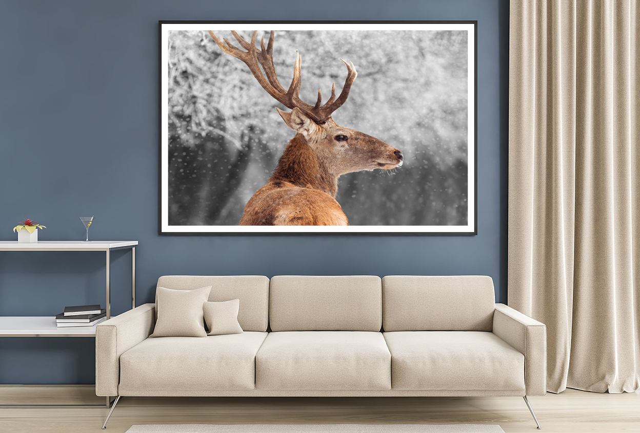 Deer in Winter Scenery Photograph Home Decor Premium Quality Poster Print Choose Your Sizes