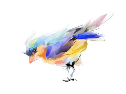 Colorful Bird Watercolor Painting Home Decor Premium Quality Poster Print Choose Your Sizes