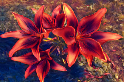 Vibrant Red Lilies Closeup View Photograph Print 100% Australian Made