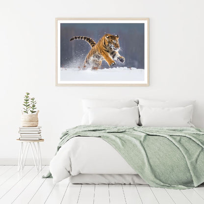 Tiger Running on Snow Photograph Home Decor Premium Quality Poster Print Choose Your Sizes
