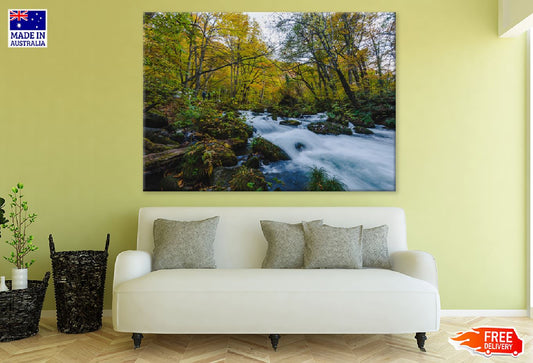Water Stram Surrounded by Forest View Photograph Print 100% Australian Made