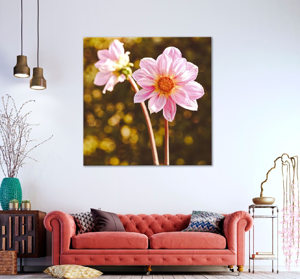 Square Canvas Pink Dahlia View Photograph High Quality Print 100% Australian Made