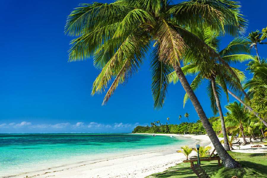 Palm Trees & White Sandy Beach View Photograph Print 100% Australian Made