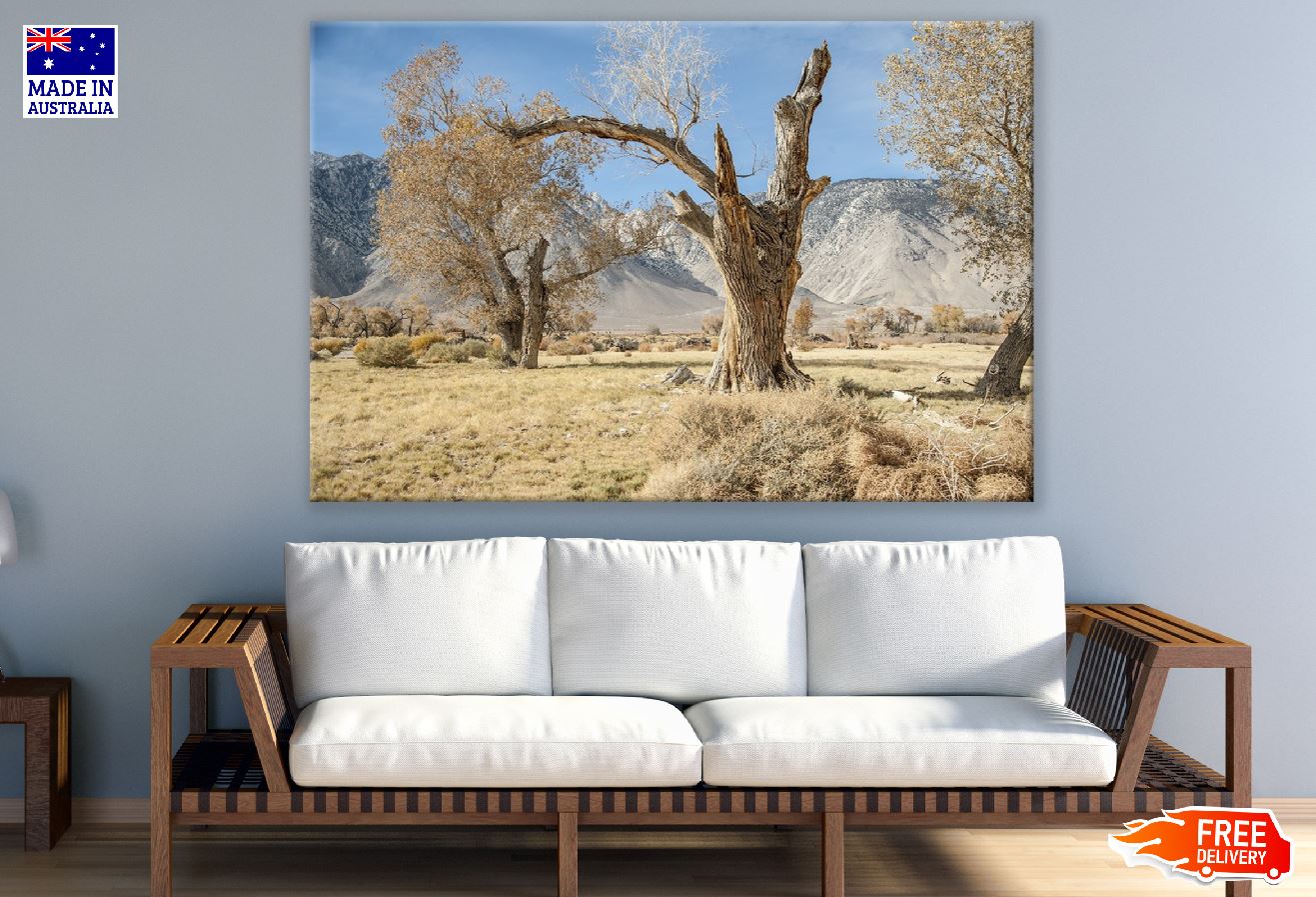 California Log Nature Old Tree Photograph Print 100% Australian Made