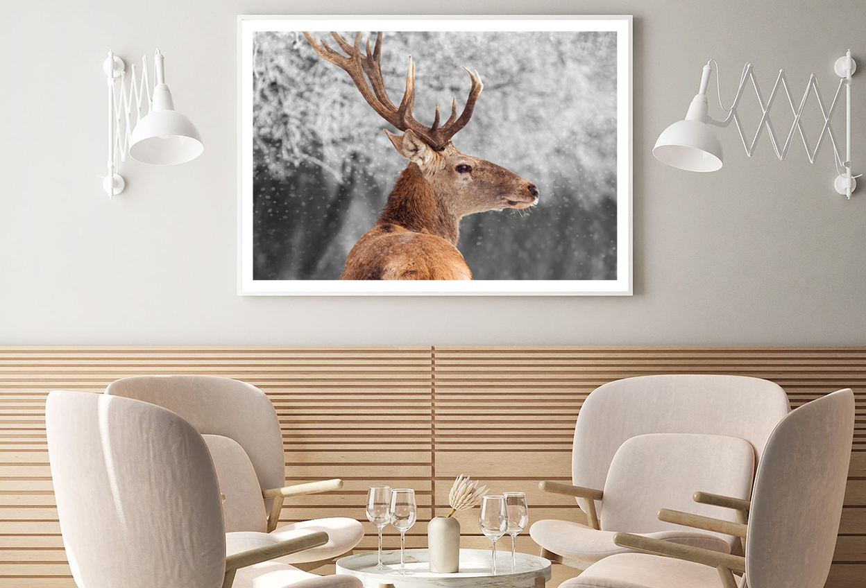 Deer in Winter Scenery Photograph Home Decor Premium Quality Poster Print Choose Your Sizes