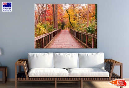 Autumn Trees & Wooden Pathway Photograph Print 100% Australian Made