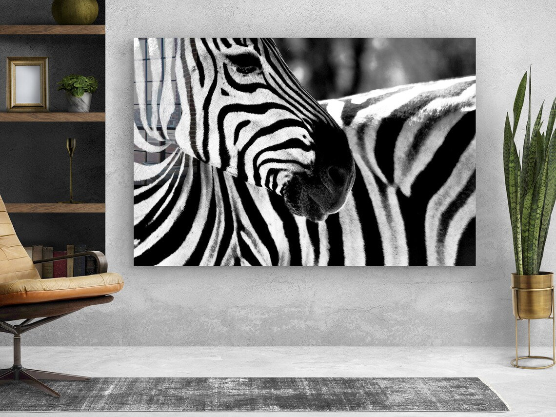 Zebra Face B&W Closeup Print Tempered Glass Wall Art 100% Made in Australia Ready to Hang