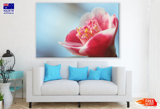 Camellia Flower Closeup Photograph Print 100% Australian Made