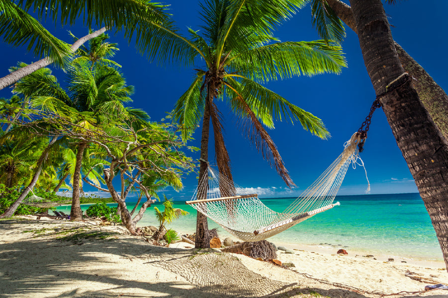 Palm Trees Fiji Island View Photograph Print 100% Australian Made