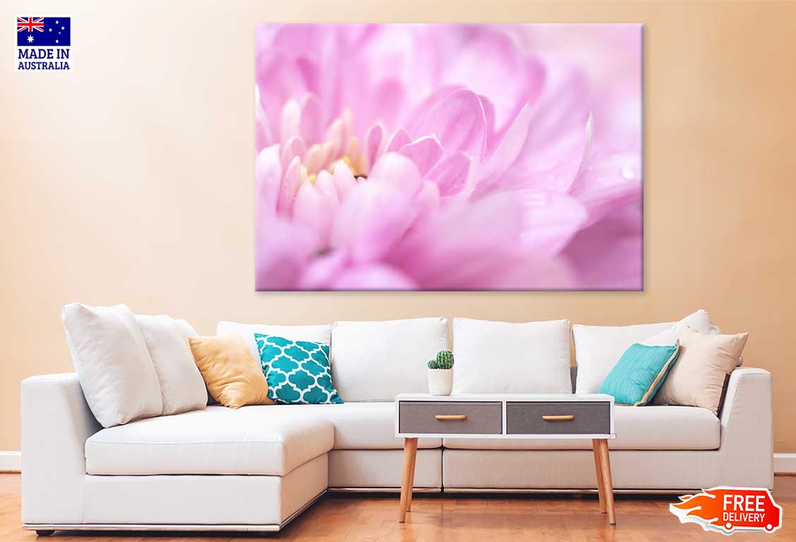 Pink Chrysanthemum Petals View Photograph Print 100% Australian Made
