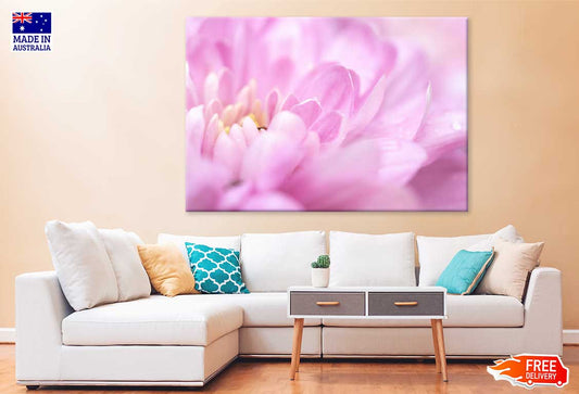 Pink Chrysanthemum Petals View Photograph Print 100% Australian Made