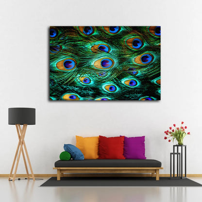 Peacock Feathers Closeup Photograph Acrylic Glass Print Tempered Glass Wall Art 100% Made in Australia Ready to Hang