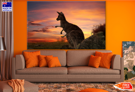 Kangaroo in Sunset Photograph Print 100% Australian Made