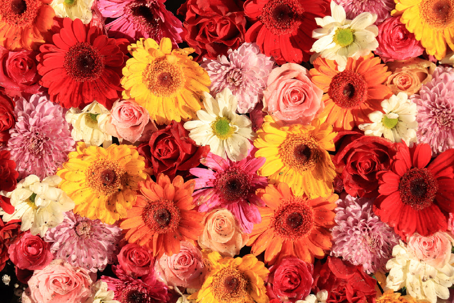 Gerbera & Variation Of Flowers Photograph Print 100% Australian Made