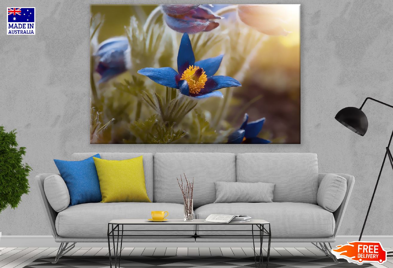 Blue Crocuses Flower Closeup Photograph Print 100% Australian Made