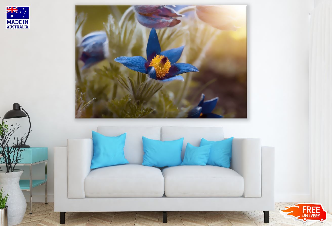 Blue Crocuses Flower Closeup Photograph Print 100% Australian Made
