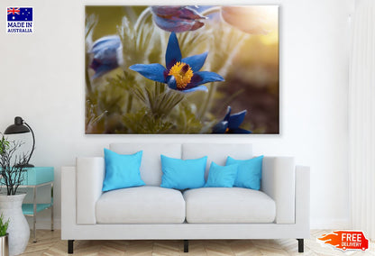 Blue Crocuses Flower Closeup Photograph Print 100% Australian Made