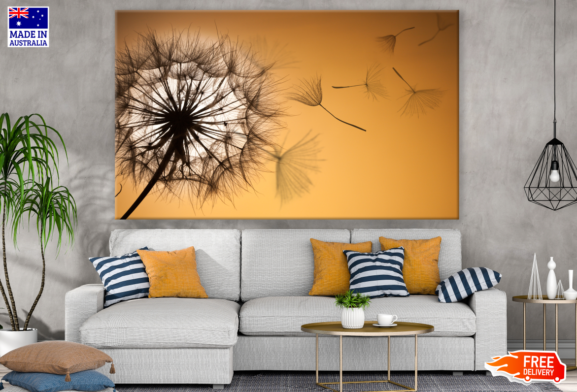 Dandelion Closeup Photograph Print 100% Australian Made