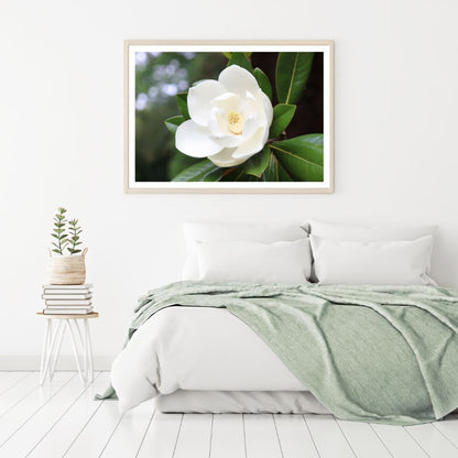 White Flower Macro Photograph Home Decor Premium Quality Poster Print Choose Your Sizes