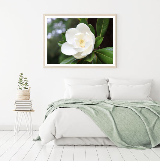 White Flower Macro Photograph Home Decor Premium Quality Poster Print Choose Your Sizes