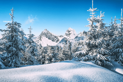 Snow Covered Forest & Mountains Photograph Print 100% Australian Made