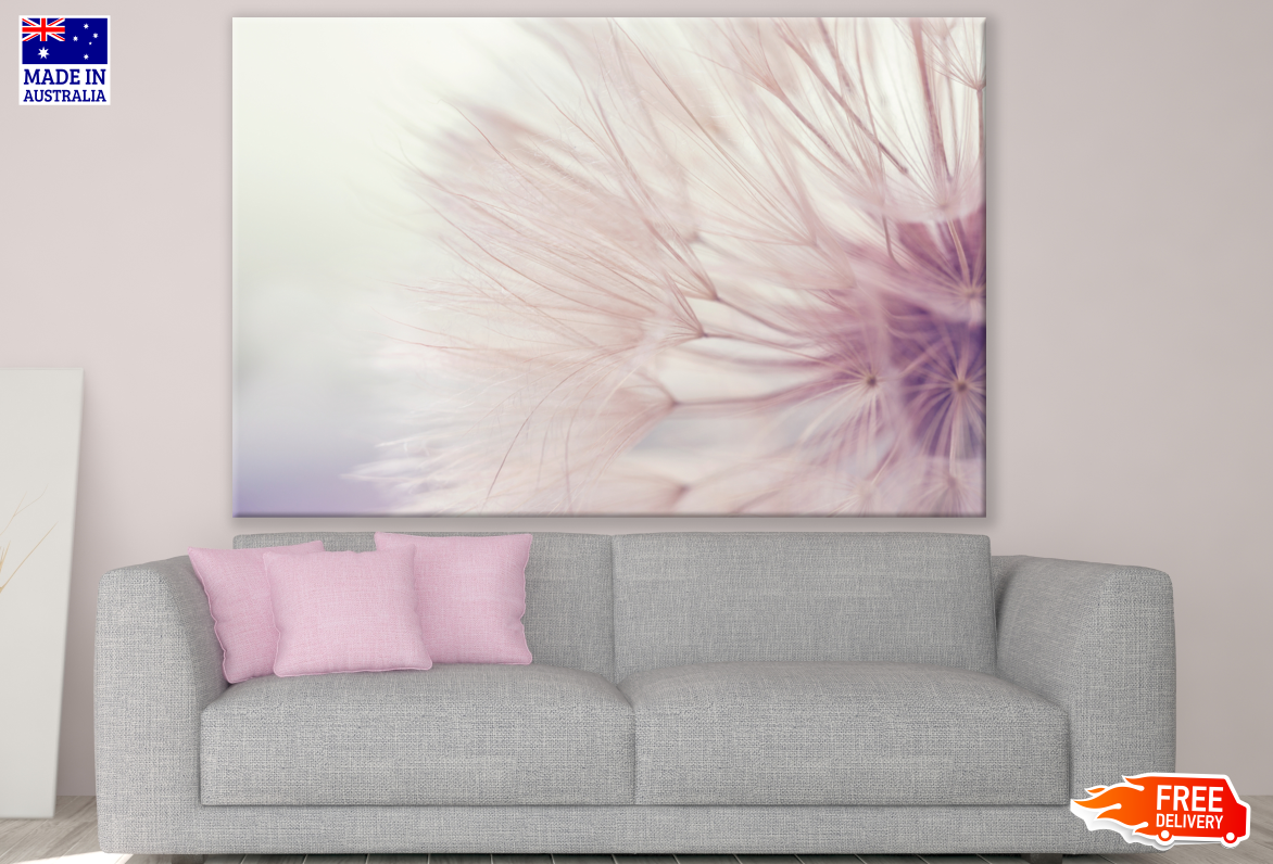 Dandelion Flower Closeup Photograph Print 100% Australian Made