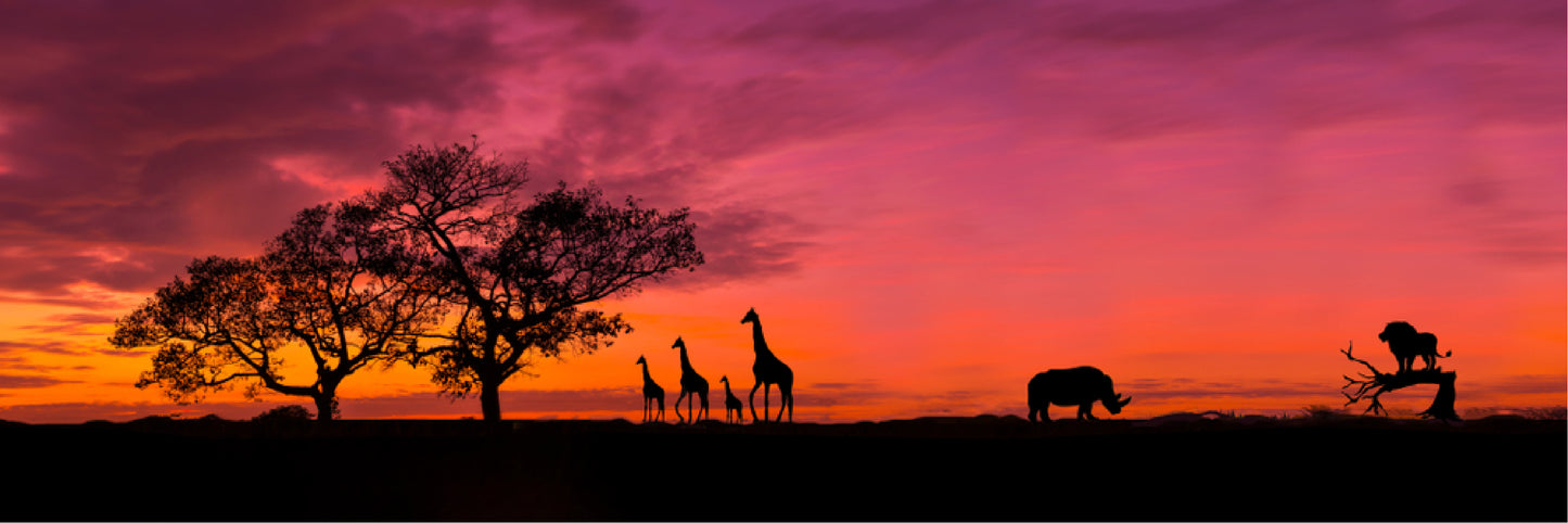 Panoramic Canvas Animals Walking in Forest Sunset High Quality 100% Australian made wall Canvas Print ready to hang