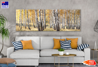 Panoramic Canvas Autumn Forest Trees Photograph High Quality 100% Australian made wall Canvas Print ready to hang