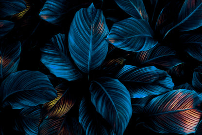 Blue Leaves on Dark Photograph Print 100% Australian Made