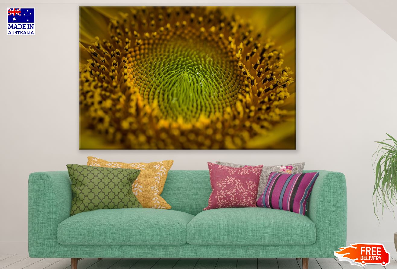Sunflower Closeup Macro Photograph Print 100% Australian Made