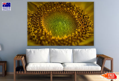 Sunflower Closeup Macro Photograph Print 100% Australian Made